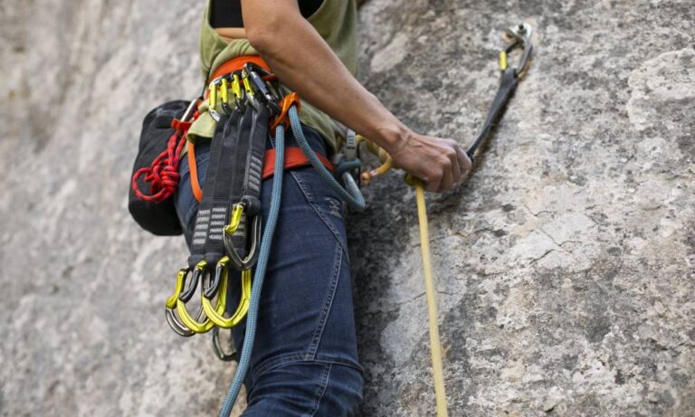 Everything You Need to Know About Tree Ropes | Southeast Rigging